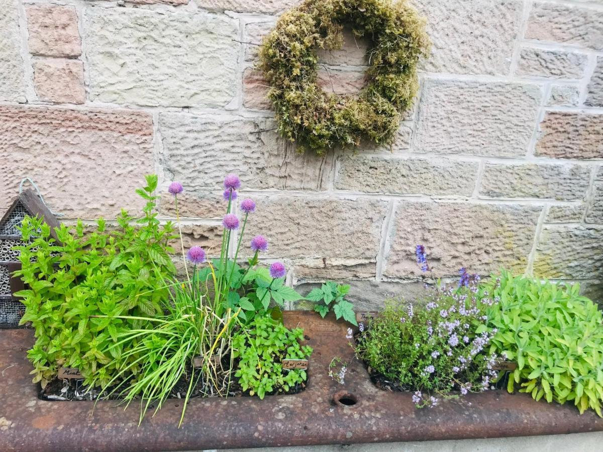 Brylach Steading Aberlour Luaran gambar
